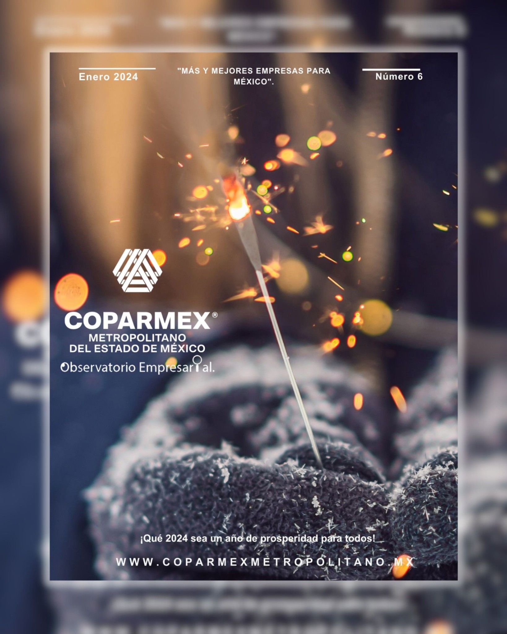 Revista COPARMEX Metropolitano “Observatorio Empresarial”. Edición 06