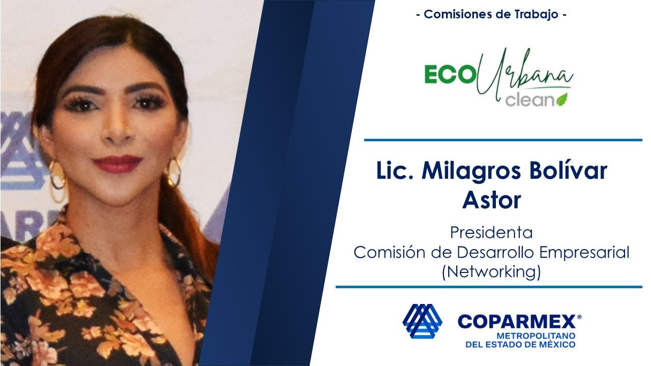 Desarrollo Empresarial (Networking)